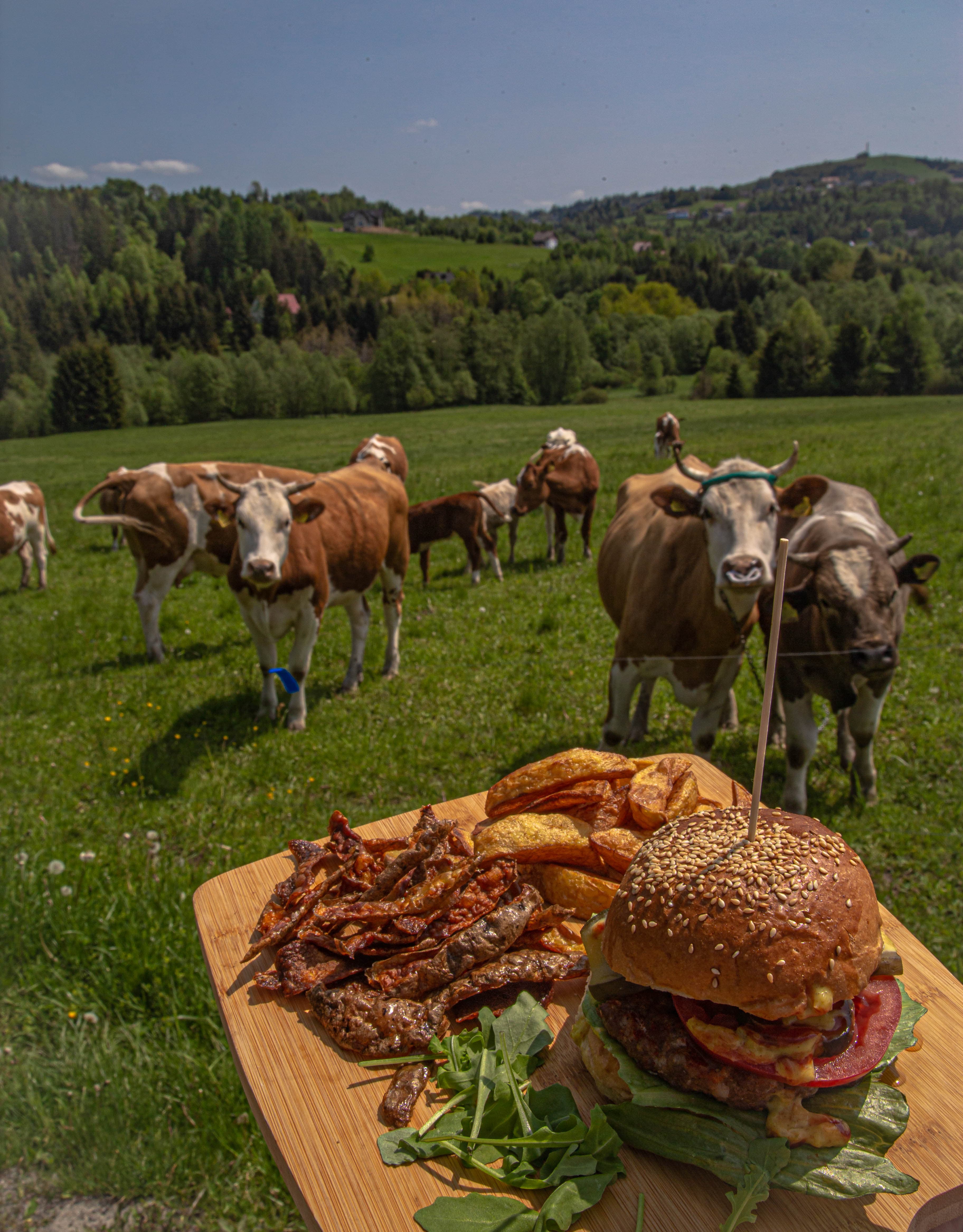 Okolica Istebnej - zdjęcie 4