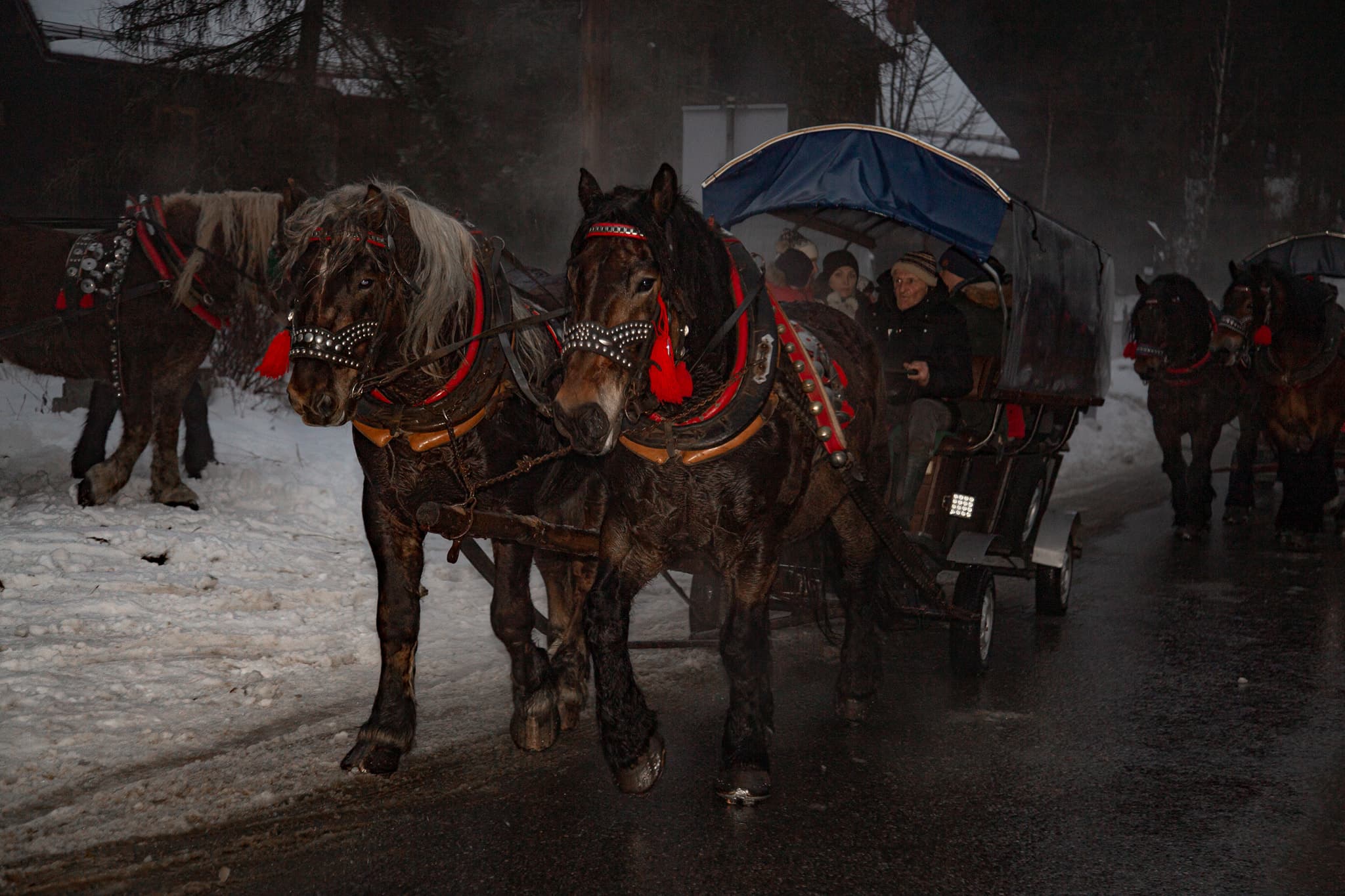 Kuligi w Istebnej - zdjęcie 5